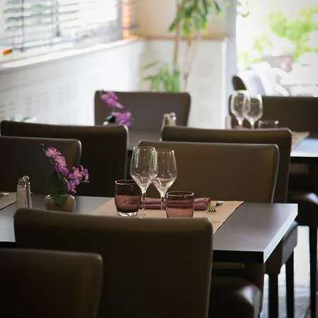 מלון De La Louee 3*